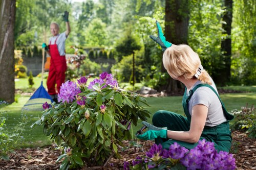 Gardening service terms and conditions introduction