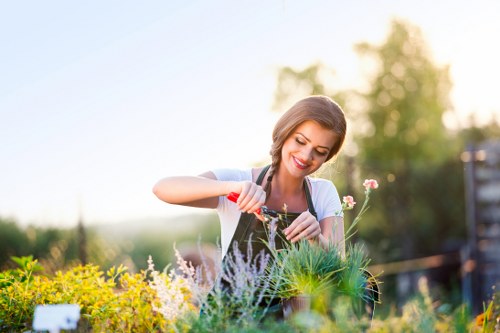 Healthy lawn care in South Croydon with neat grass and garden borders