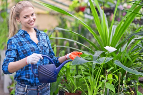 Gardener assessing safety before outdoor work