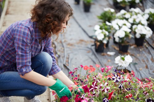 Essential cookie information for Gardeners South Croydon