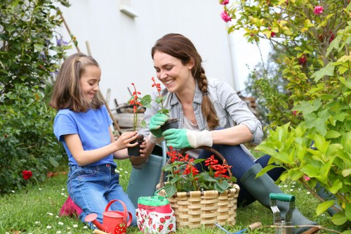 Regular garden maintenance in South Croydon with lawn care and tidy pathways