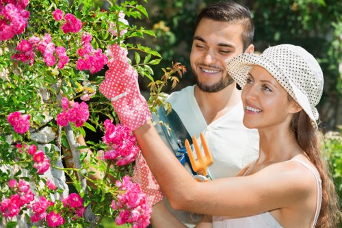 Illustration of a gardening complaint being reviewed