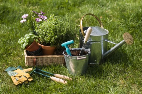 Overgrown garden clearance in South Croydon with branches and green waste removal