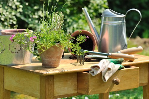 Weeding and border care in a South Croydon outdoor space