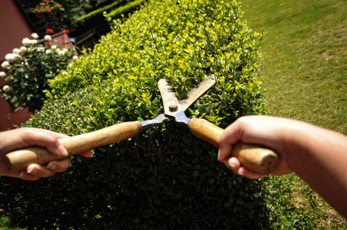 Team handling garden debris and rubbish removal in South Croydon