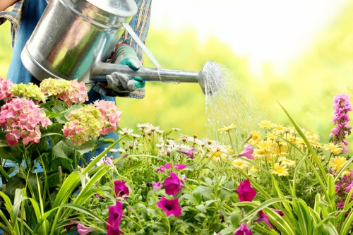 Professional grass cutting in a South Croydon garden