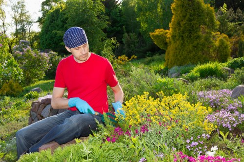 Final resolution step in a gardening complaints procedure