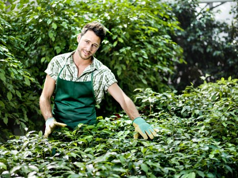 Autumn and winter garden upkeep in South Croydon