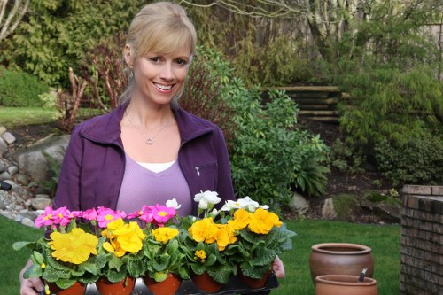 Transparent maintenance pricing for South Croydon gardens