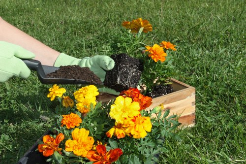 Restoring and shaping a South Croydon garden with careful upkeep