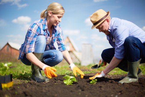 Seasonal garden work in South Croydon with healthy plants and lawns