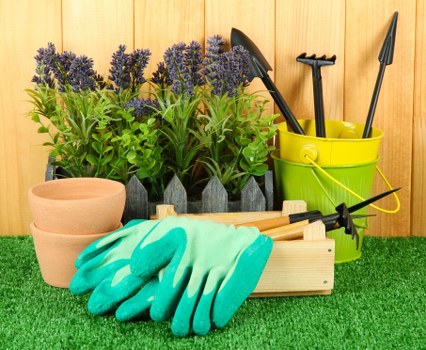 Seasonal spring and summer garden maintenance in South Croydon
