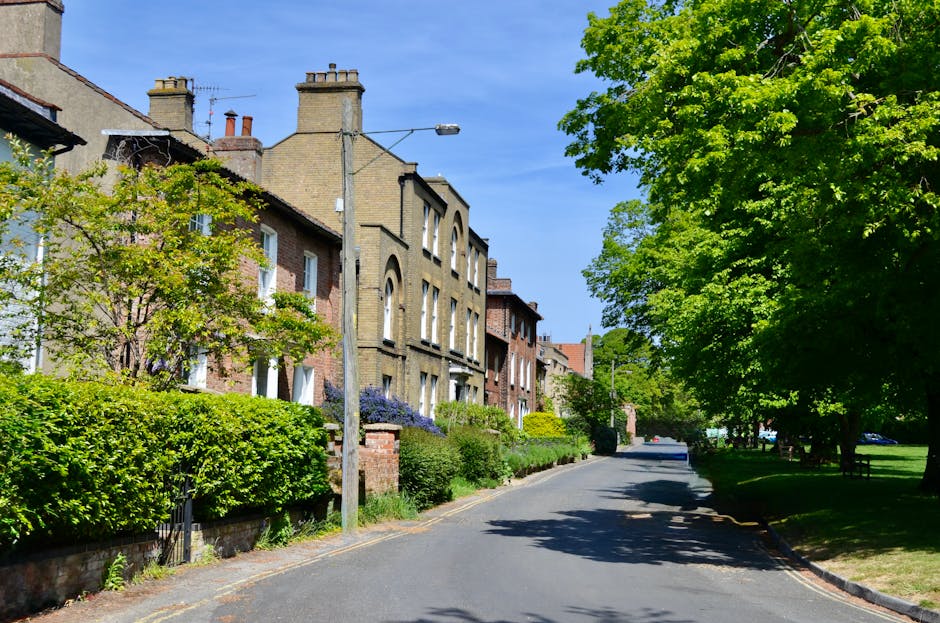 A row of well-maintained lavender bushes with light purple flowers and green foliage lines the paved sidewalk in front of a residential building constructed from red brick. The bushes are lush and nea